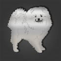 Pomeranian Style 6