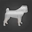 Shar Pei Style 3