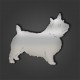 Norwich Terrier Style 2